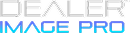 DIP Logo
