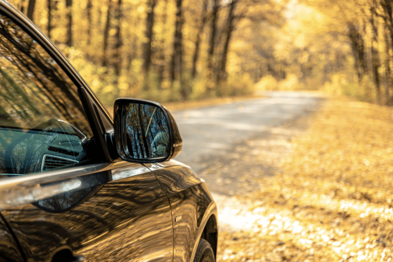 The Hidden Cost of Falling Leaves: A Dealership Manager’s Guide to Fall Inventory Management